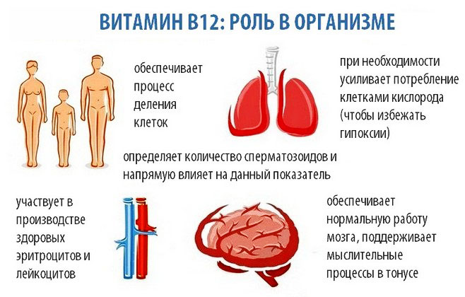 Витамин В12. Цианокобаламин.