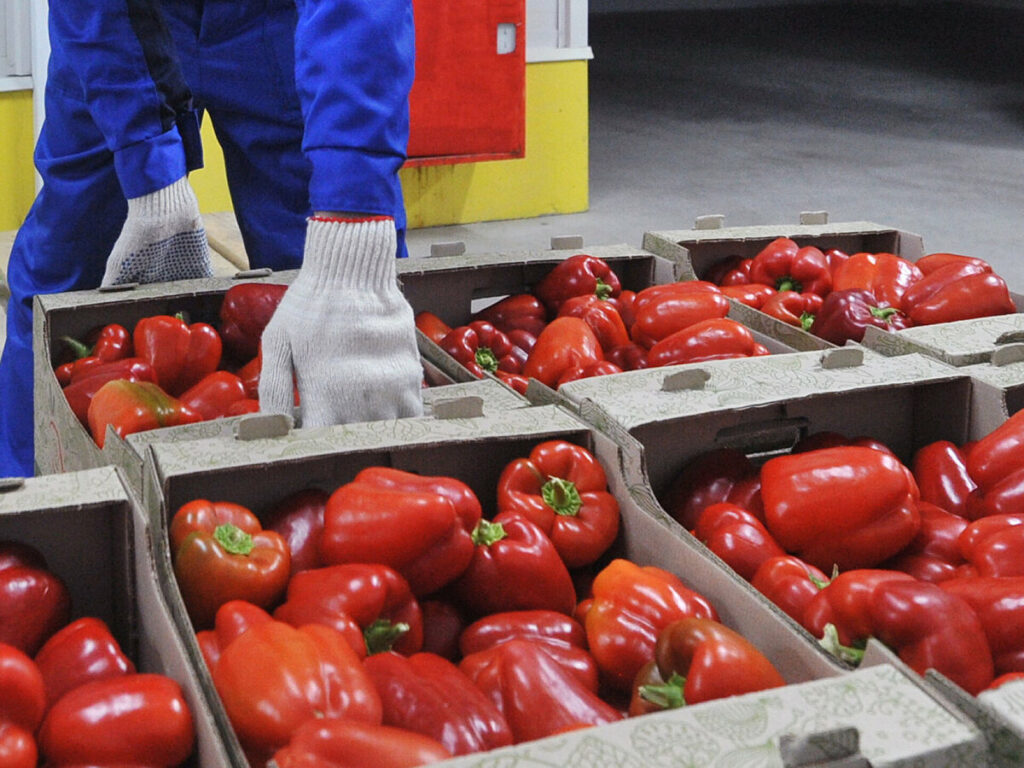 19 увлекательных фактов из истории еды, которые меняют представление о кулинарном мире