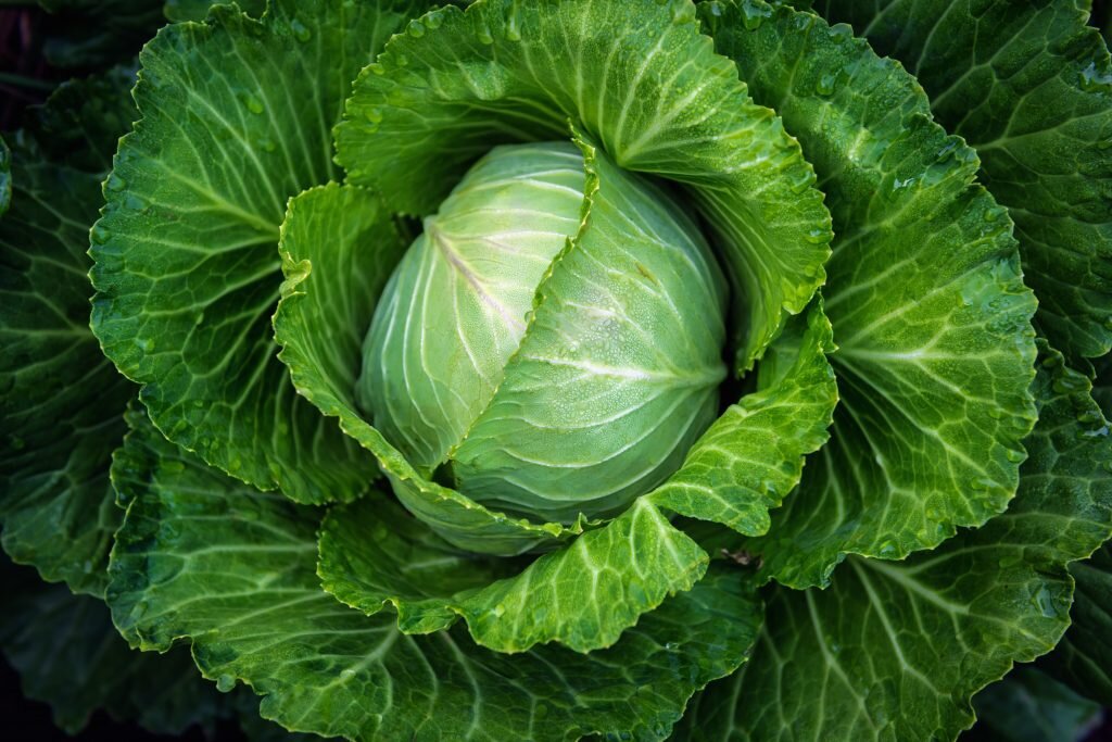 Самые полезные продукты питания в мире