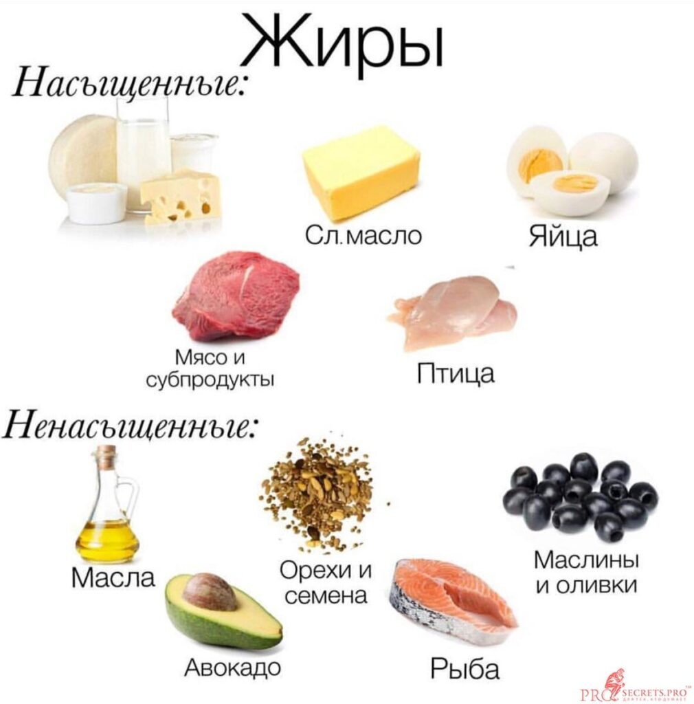 Роль белков, жиров и углеводов в организме: их важность и функции