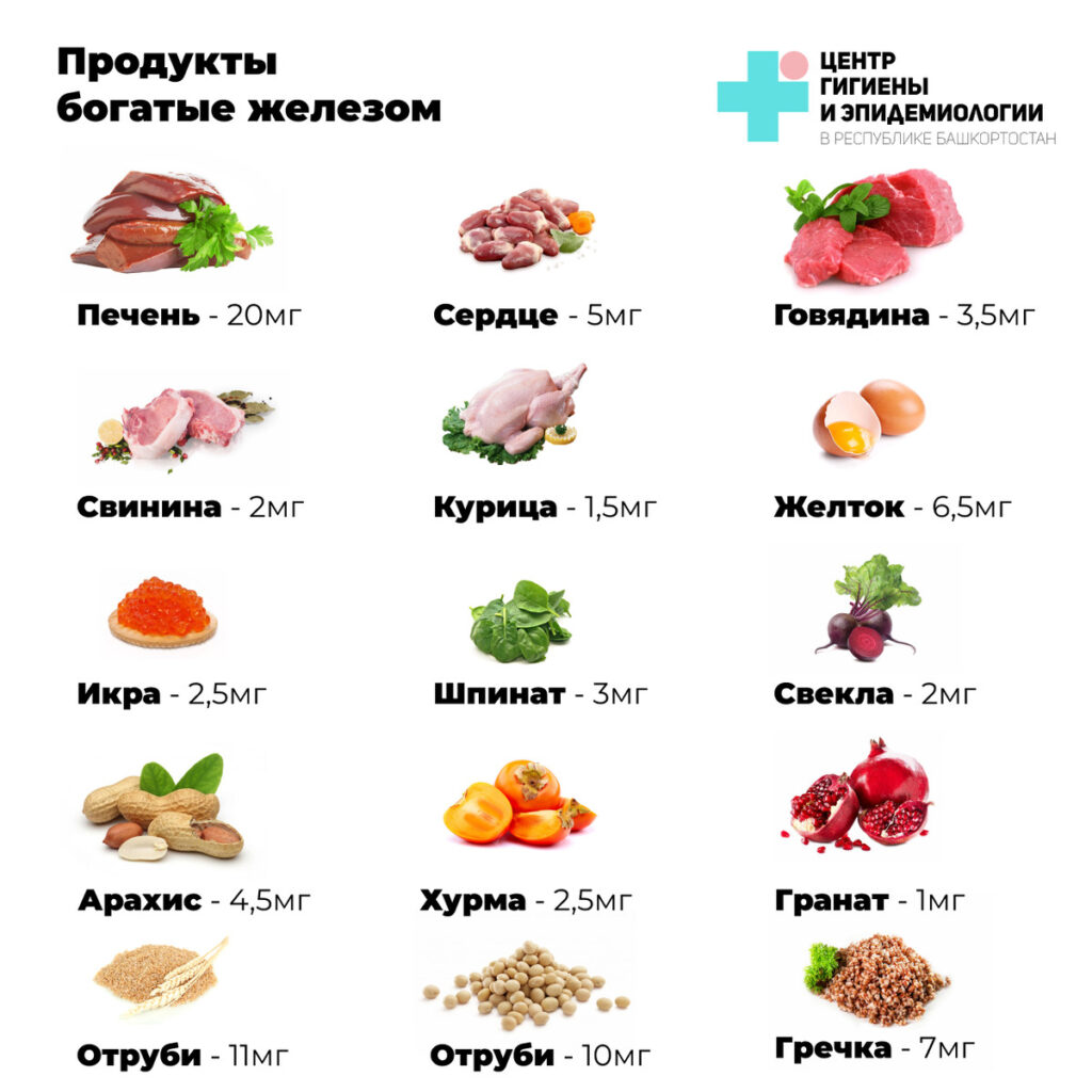Жизненная необходимость железа: роль микроэлемента в организме и его влияние на здоровье